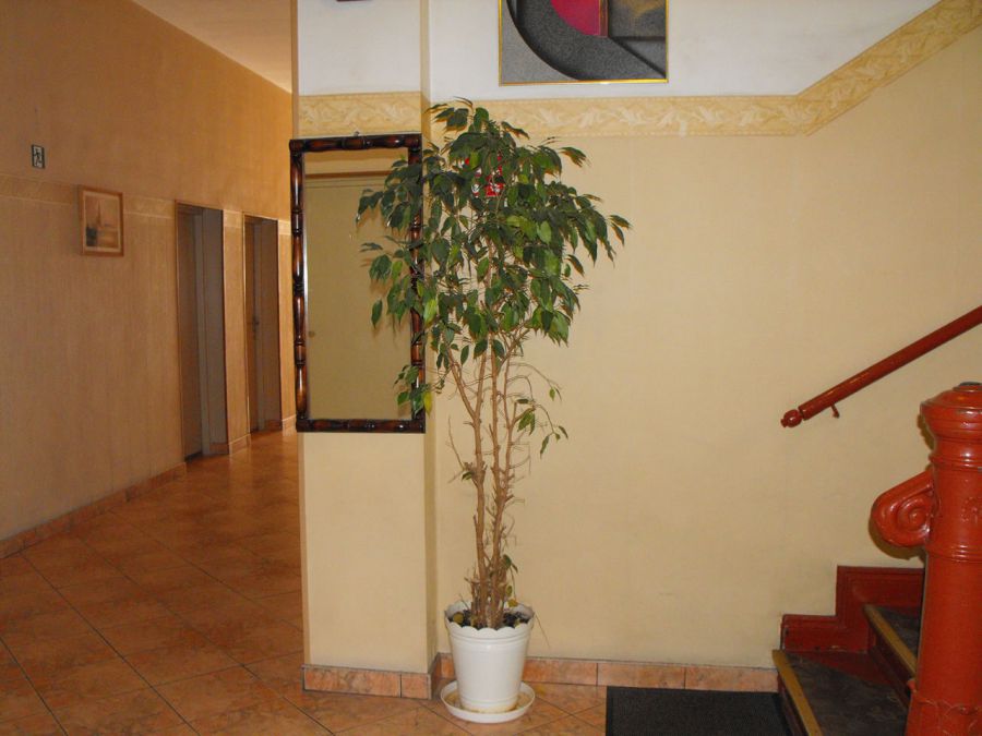 Zapraszamy do obejrzenia naszej galerii zdjęć