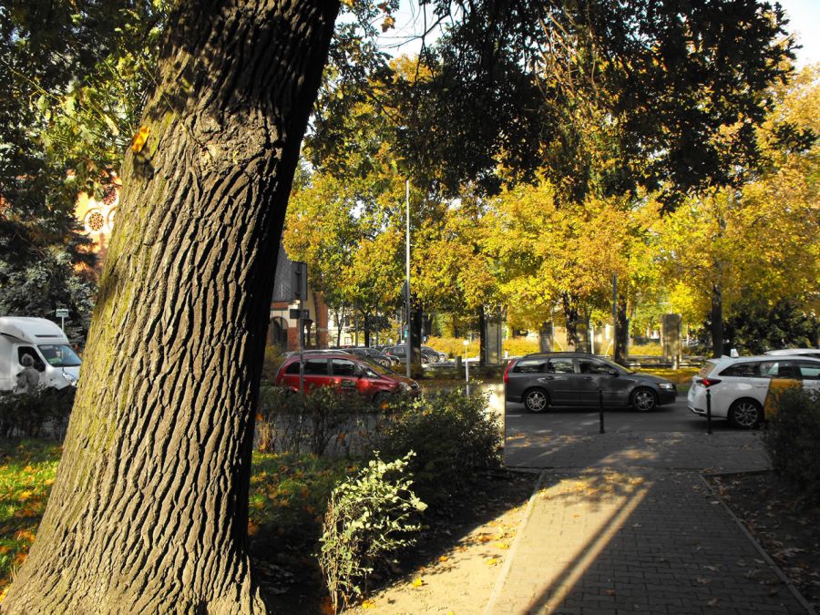 Zapraszamy do obejrzenia naszej galerii zdjęć