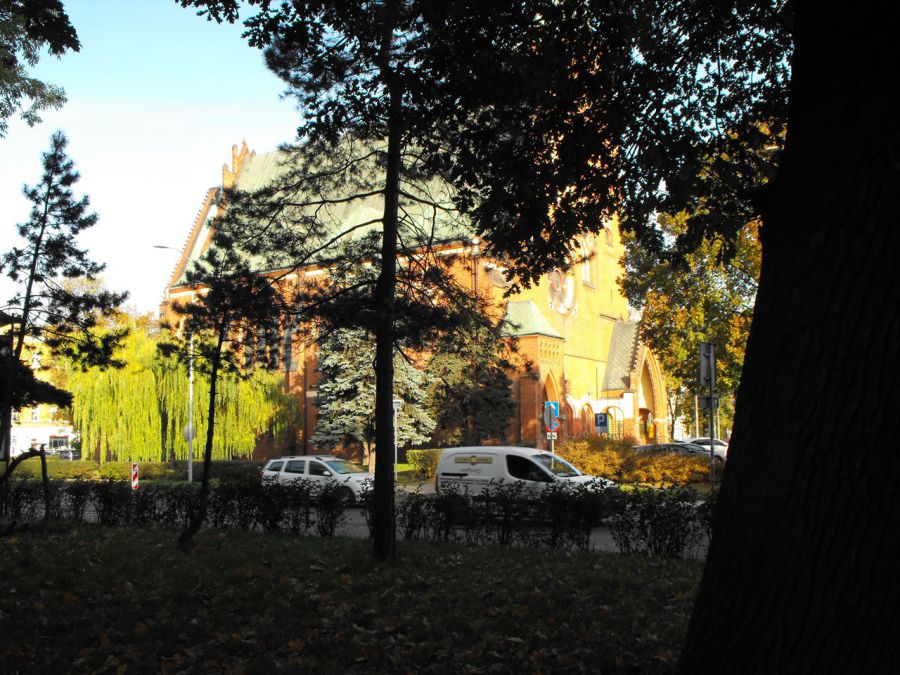 Zapraszamy do obejrzenia naszej galerii zdjęć