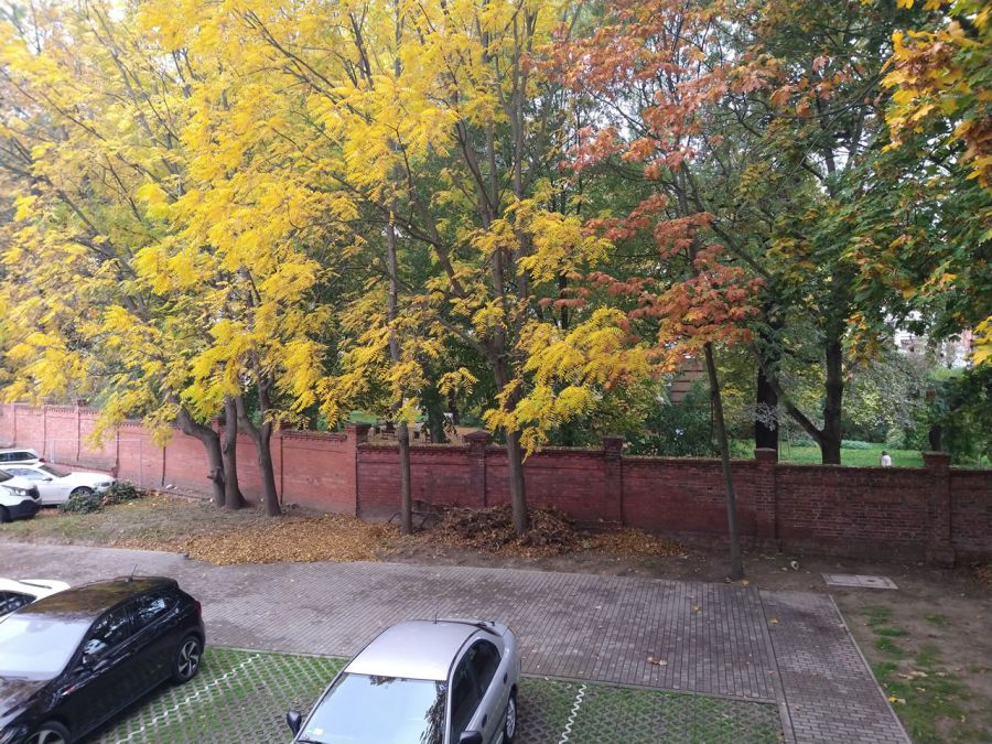 Zapraszamy do obejrzenia naszej galerii zdjęć