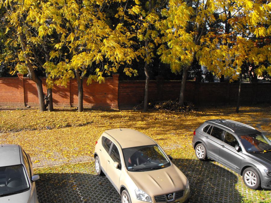 Zapraszamy do obejrzenia naszej galerii zdjęć